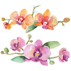 Naklejka premium Orchid bouquets floral botanical flowers. Watercolor background illustration set. Isolated orchid illustration element.