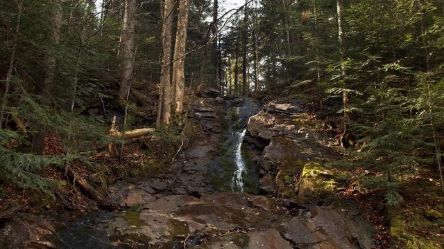 Mountain rocky stream flowing in coniferous green woods background slow motion 4k. Quick river water in mountainous landscape dense forest trees. Peaceful calm atmospheric live wallpaper nature