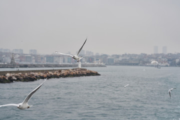 Istanbul skyline and Bosphorus view from Turkey