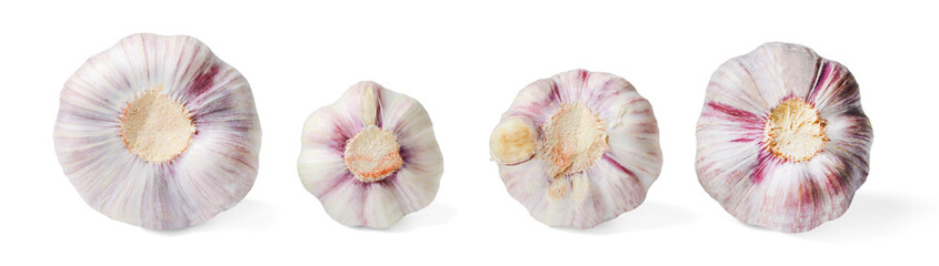 A few heads of garlic from the back on a white isolated background. Close-up. Element for design, print or web.