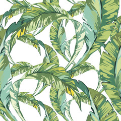 Illustrations de feuilles de palmier tropical. Feuilles de jungle isolées sur fond blanc. Modèles sans couture.