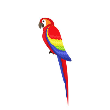 Bird parrot with flat style on white background.