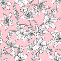 seamless pattern with hand drawn illustrations of Schizostylis. .botanical graphic drawing of kaffir lily flower. .Use for cards, textiles, backgrounds, invitations, paper, scrapbooking.