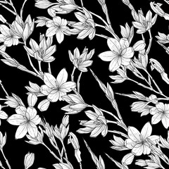 seamless pattern with hand drawn illustrations of Schizostylis. .botanical graphic drawing of kaffir lily flower. .Use for cards, textiles, backgrounds, invitations, paper, scrapbooking.