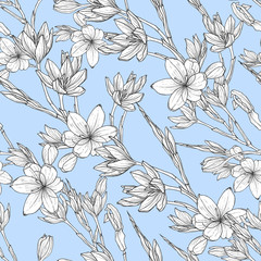 seamless pattern with hand drawn illustrations of Schizostylis. .botanical graphic drawing of kaffir lily flower. .Use for cards, textiles, backgrounds, invitations, paper, scrapbooking.