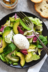 Fresh mix salad with avocado, egg plow and sauce on a concrete background. View from above.