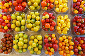 barquettes de tomates cerise