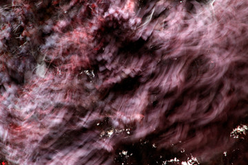 Tree in a windy day