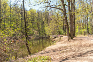 Sparrow Hills. Lake on the trail