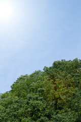 エコロジーイメージ