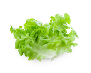 Salad leaf. Lettuce isolated on white background. full depth of field