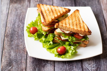 Sandwich with cheese, tomato, cucumber, sausage and salad on wooden background. Horizontal orientation