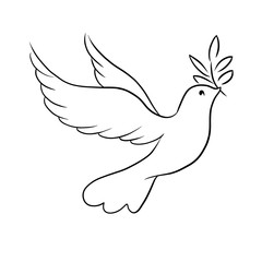 Beautiful line sketch dove bird vector illustration