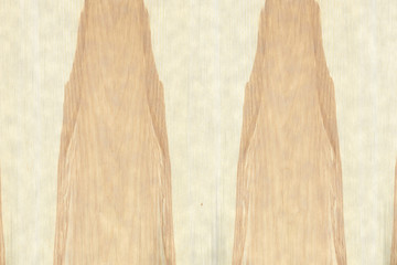 nuclear ash-tree timber wood structure texture surface grain background
