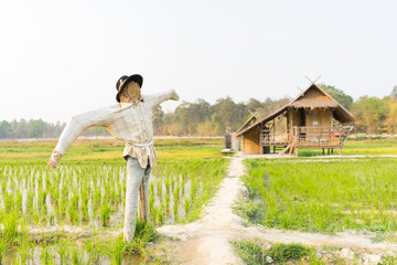 Obraz premium The scarecrow and hut in the green field