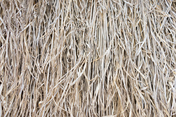 Straw for roofing or dry grass for pattern background 