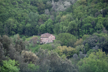 la casetta nel bosco