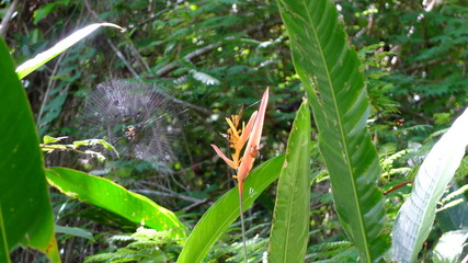 Palatéia uma vila dentro da Barra de São Miguel