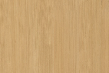 Naklejka premium yellow color tree timber wood surface texture background wallpaper