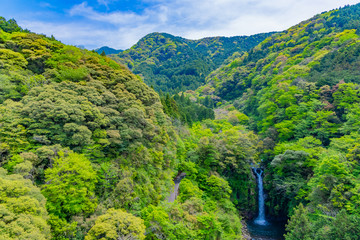 静岡県富士市須津川渓谷　大棚の滝