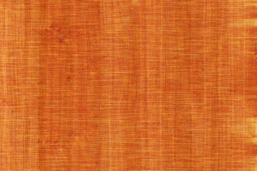 acacia timber tree wooden surface wallpaper structure texture background