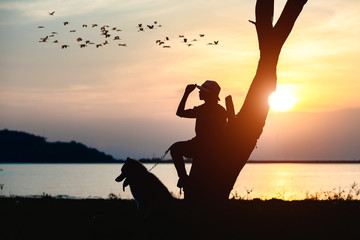 silhouette of woman girl enjoy activity outdoor in park with a puppy dog at lake river with sunset sweet time, friendship and relationship together in comfortable time
