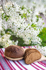 Rye bread on a wooden board against a background of with blooming cherry branches. fresh bread on a background of flowering trees