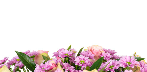 Border of pink flowers isolated on white background. 