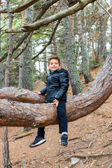 Fototapeta premium Portrait of a little boy on a tree