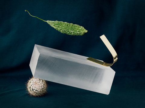 Glass box, cucumber and cactus
