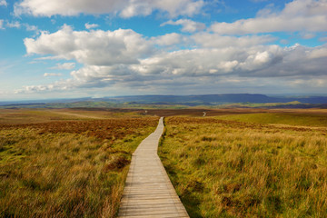 Ireland, County Fermanagh, Cuilcagh Mountain Park, Legnabrocky Trail