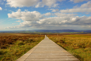 Ireland, County Fermanagh, Cuilcagh Mountain Park, Legnabrocky Trail