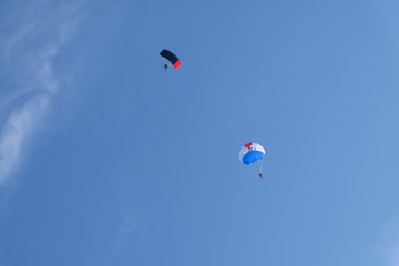 Fototapeta na wymiar Skydiving. Parachute is in the sky.