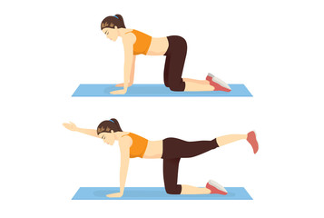 Woman doing bird dog plank exercise in left and right side. Illustration about workout position guide.