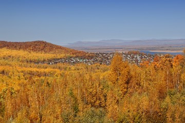 Autumn yellow landscape with houses in the distance