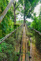 Balata Garden, Martinique - Paradise botanic garden on tropical caribbean island with suspension bridges - France