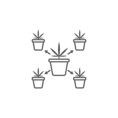 Cloning, marijuana icon. Element of marijuana icon. Thin line icon for website design and development, app development. Premium icon