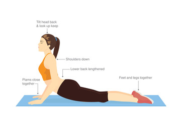 Woman doing stretching exercise with Cobra pose for guide. Illustration about correct workout diagram.