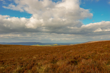 Fototapeta premium Ireland, County Fermanagh, Cuilcagh Mountain Park, Legnabrocky Trail