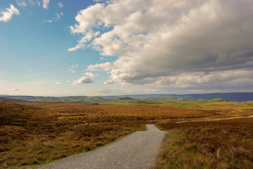 Ireland, County Fermanagh, Cuilcagh Mountain Park, Legnabrocky Trail