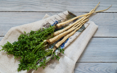 Bunch of parsley root with green leaves on a napkin