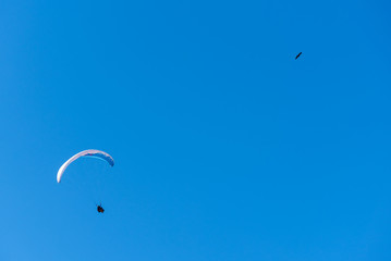 Fly like an eagle: paraglider flying on a perfect blue sky and seemingly following a bird (upper...