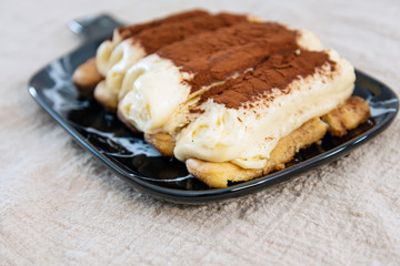 Classical Dessert homemade Tiramisu Cake