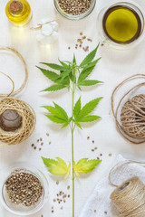 Fototapeta na wymiar Hemp products concept. Rope, cooking oil, seeds and cannabis plant