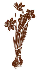 Vector brown silhouette of a narcissus bouquet. 