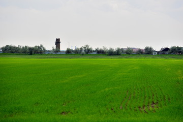 Fototapeta na wymiar Almaty countryside landscape