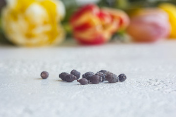 A heap of dried black flower seeds close-up on a white table background. planting season. close up top view copy space