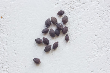 Fototapeta na wymiar A heap of dried black flower seeds close-up on a white table background. planting season. close up top view copy space