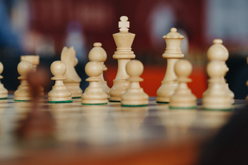 Staunton White Chess Pieces on Chess Board. A set of traditional Staunton boxwood white chess pieces lined up on a board ready to play