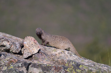 La magia de su mirada